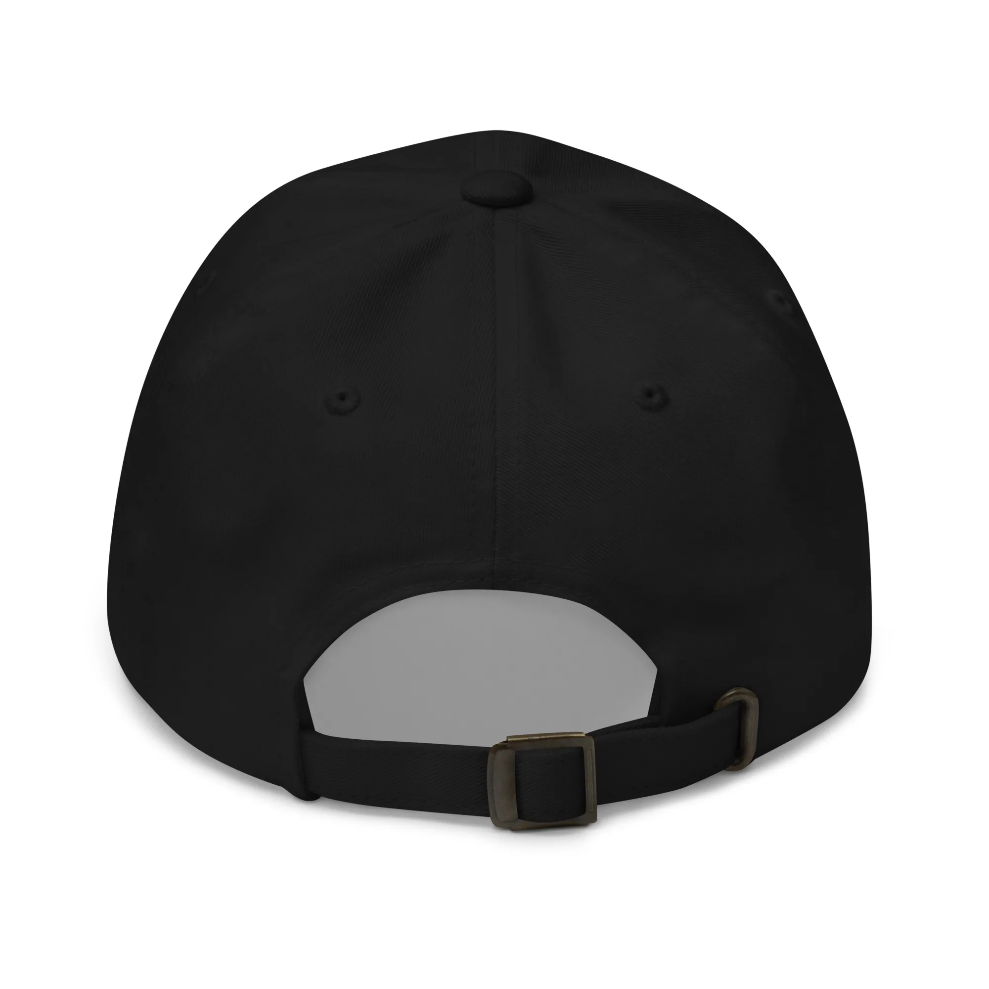 The Conservancy Dad hat - Image 5