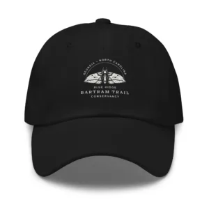 The Conservancy Dad hat