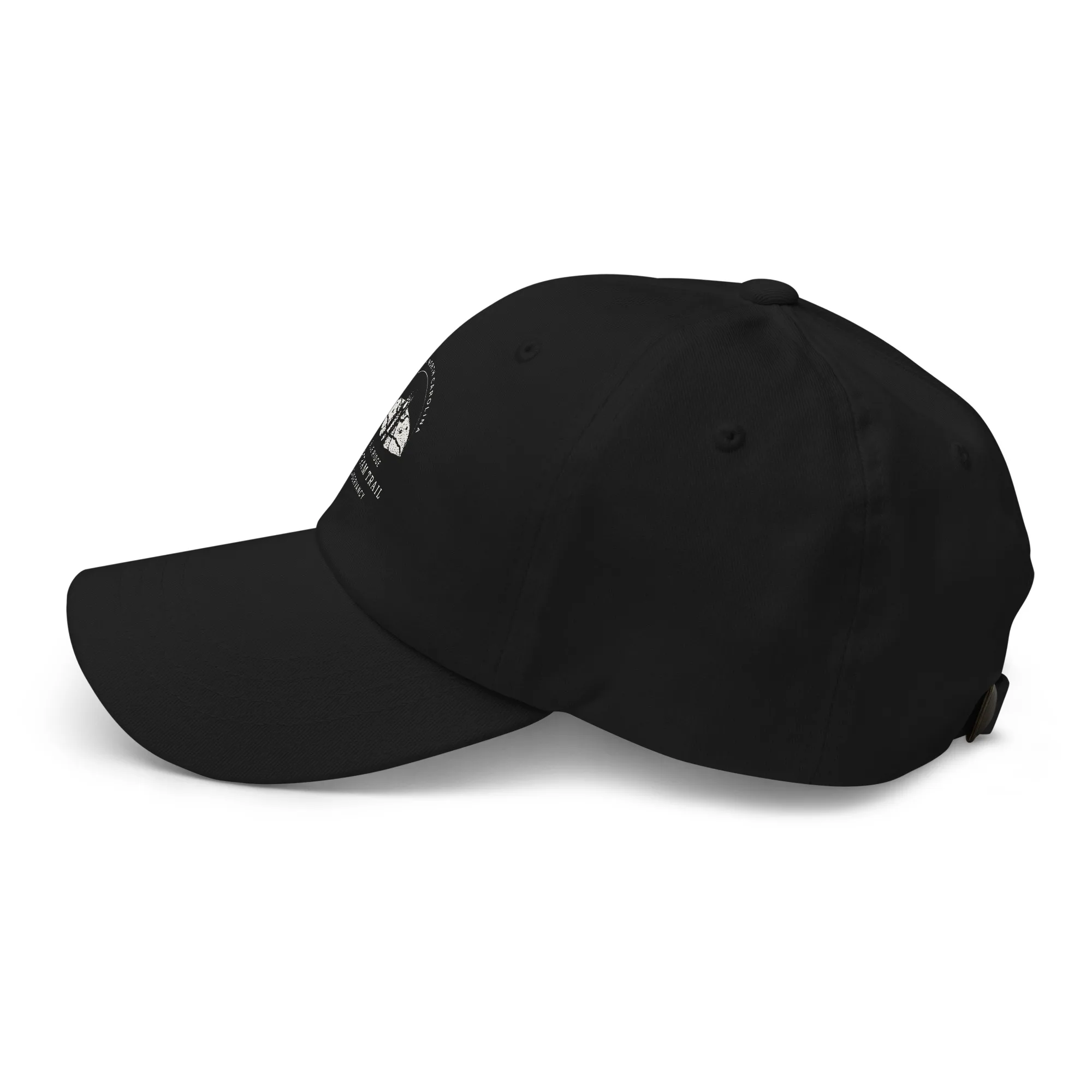 The Conservancy Dad hat - Image 13
