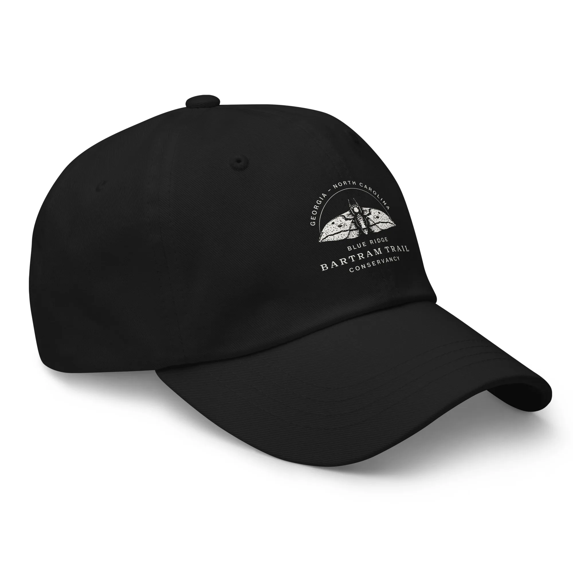 The Conservancy Dad hat - Image 17
