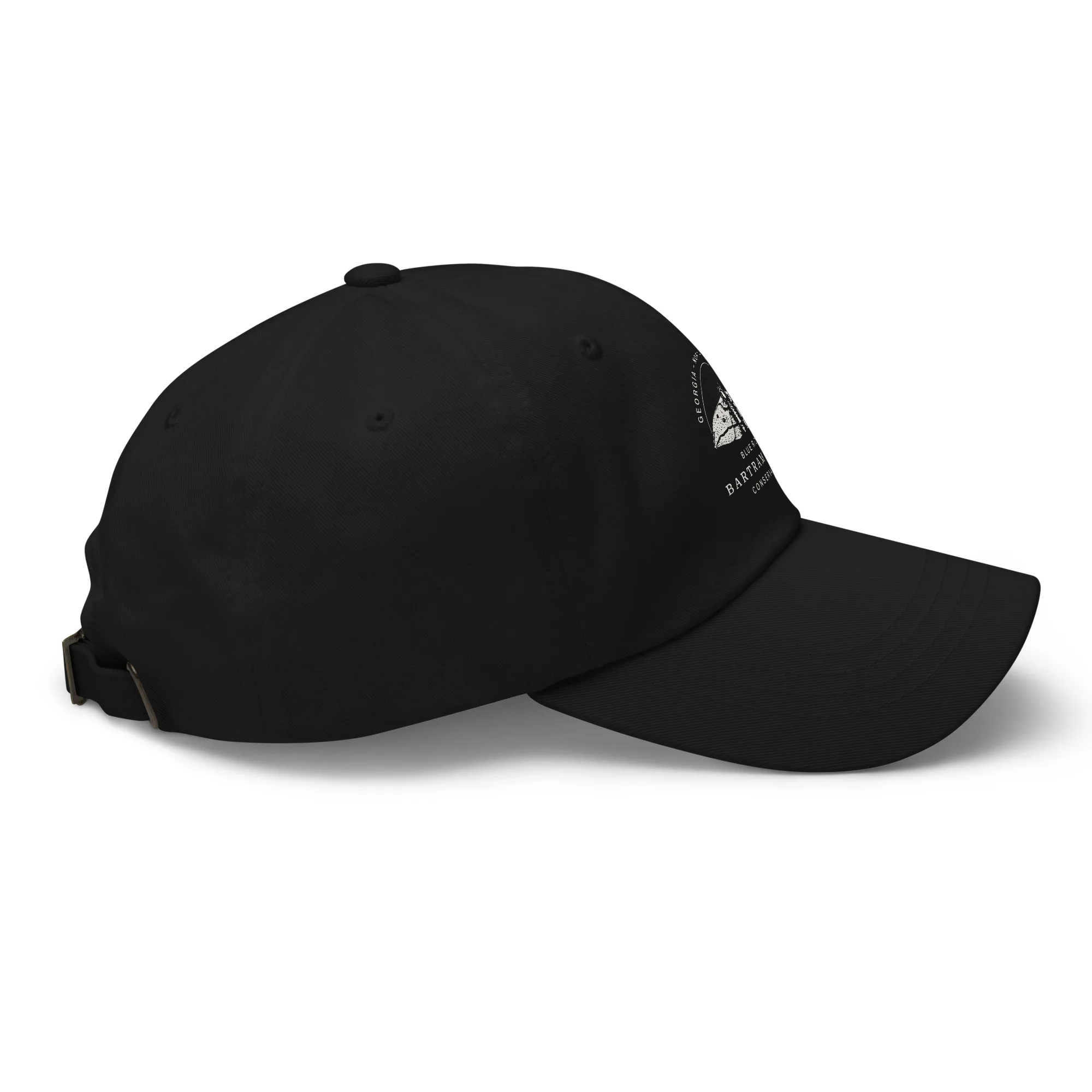 The Conservancy Dad hat - Image 9