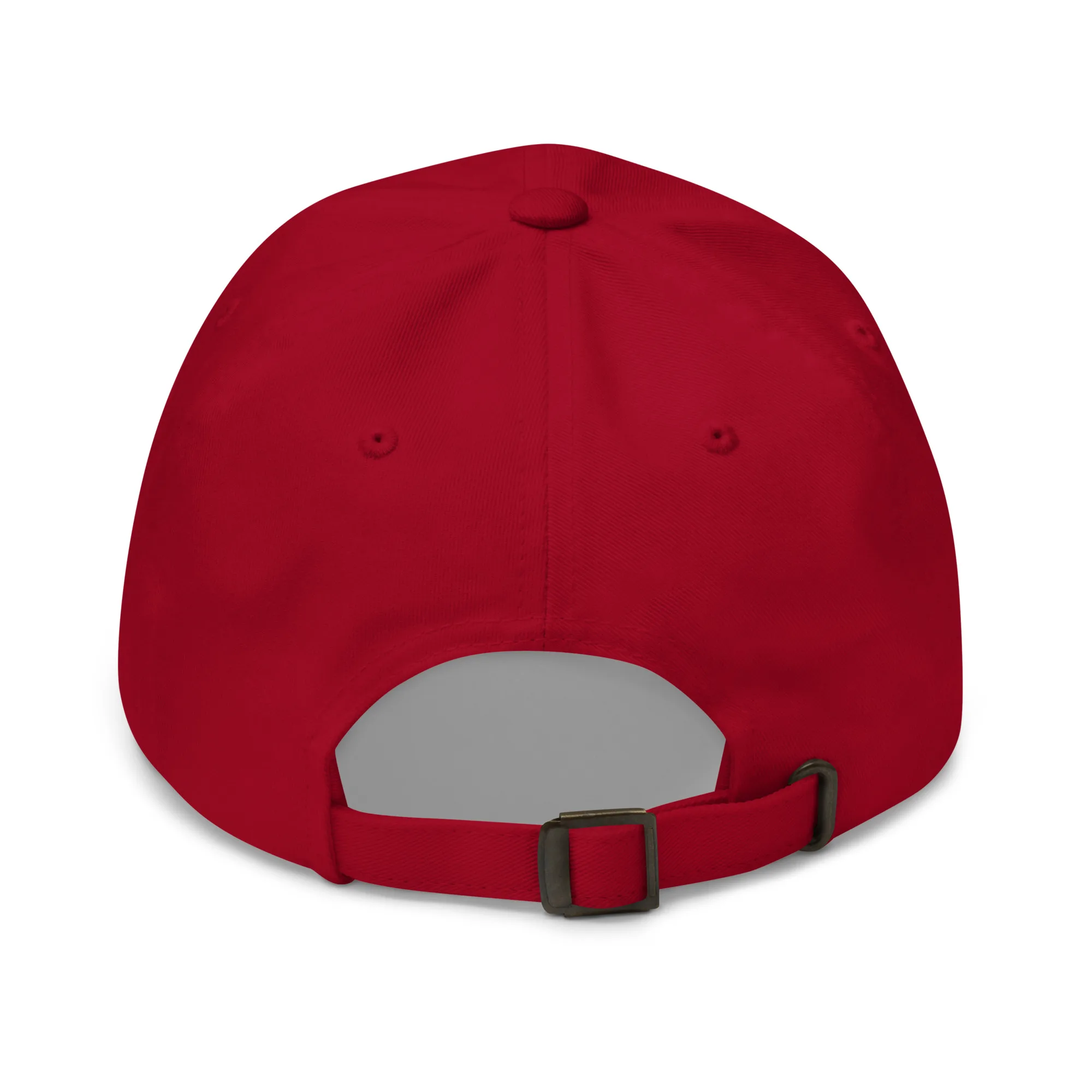 The Conservancy Dad hat - Image 7