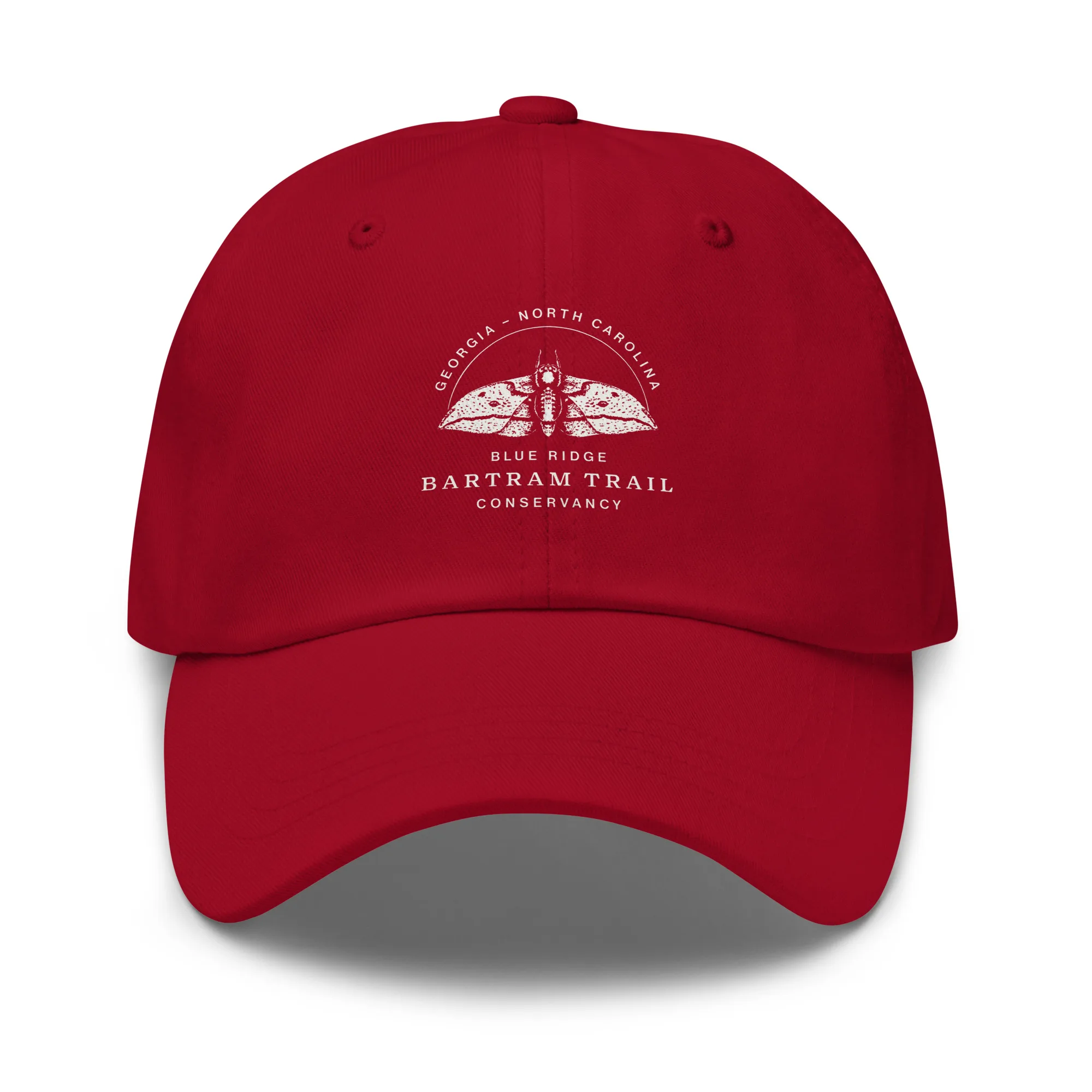 The Conservancy Dad hat - Image 3