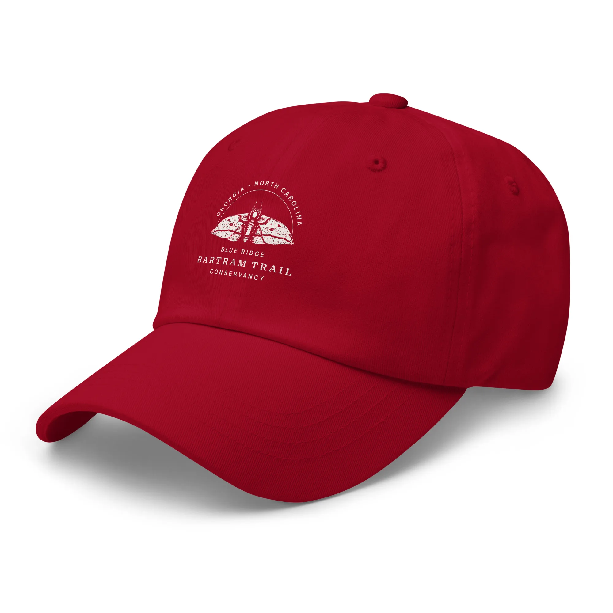 The Conservancy Dad hat - Image 23