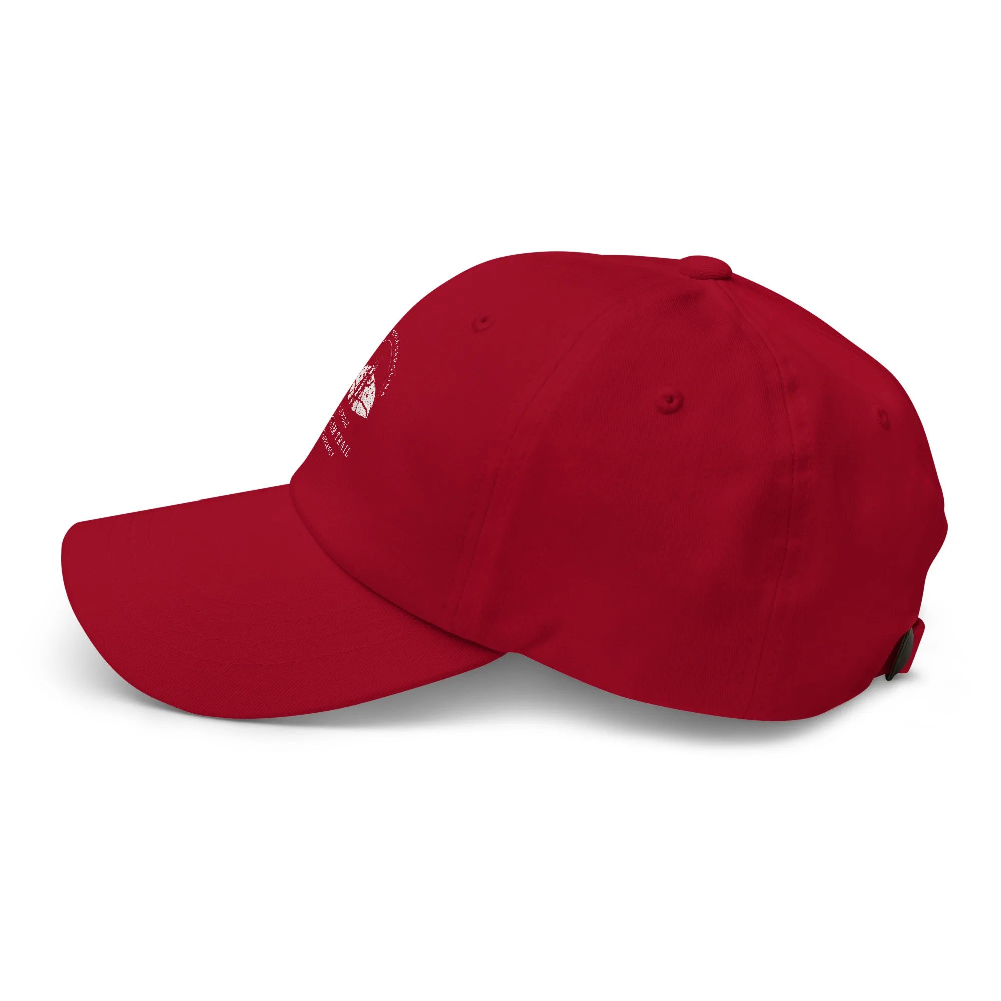 The Conservancy Dad hat - Image 15