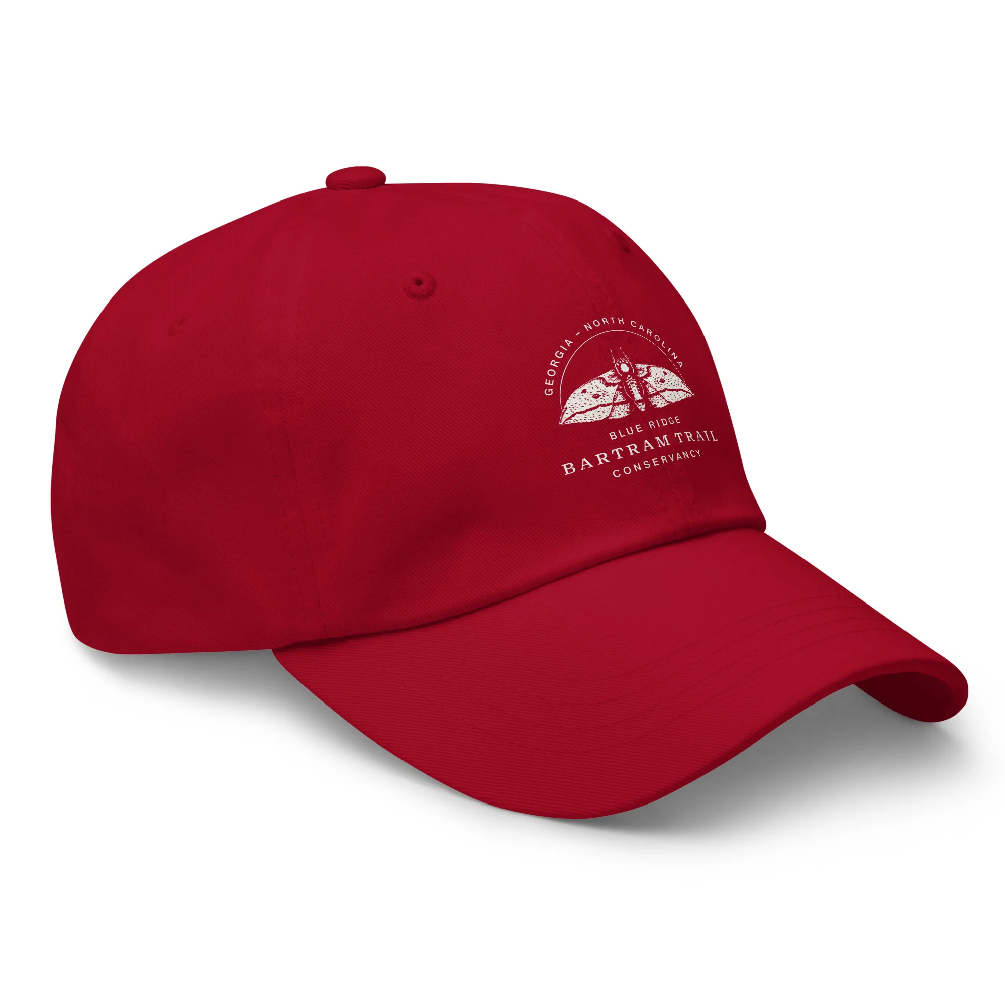 The Conservancy Dad hat - Image 19