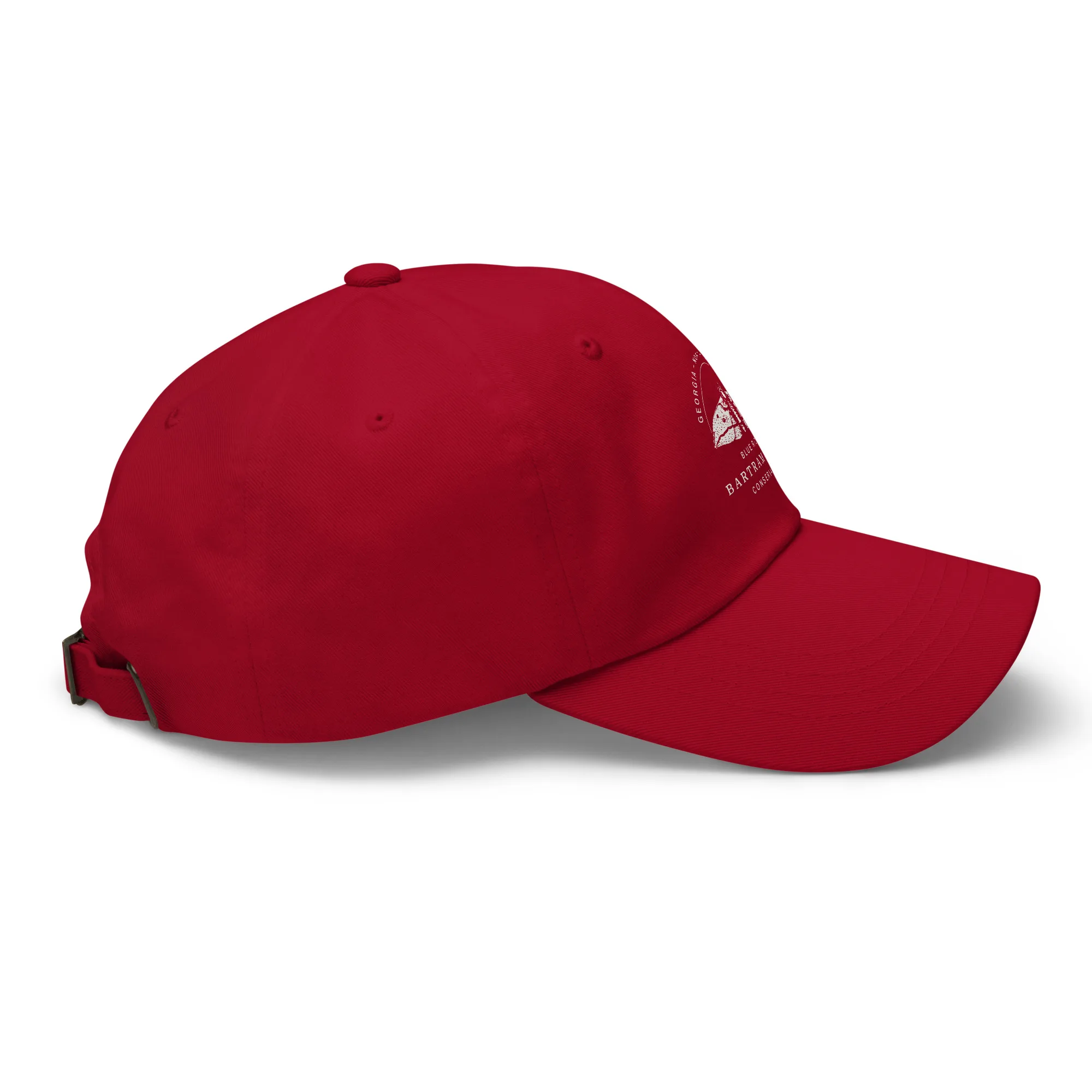 The Conservancy Dad hat - Image 11