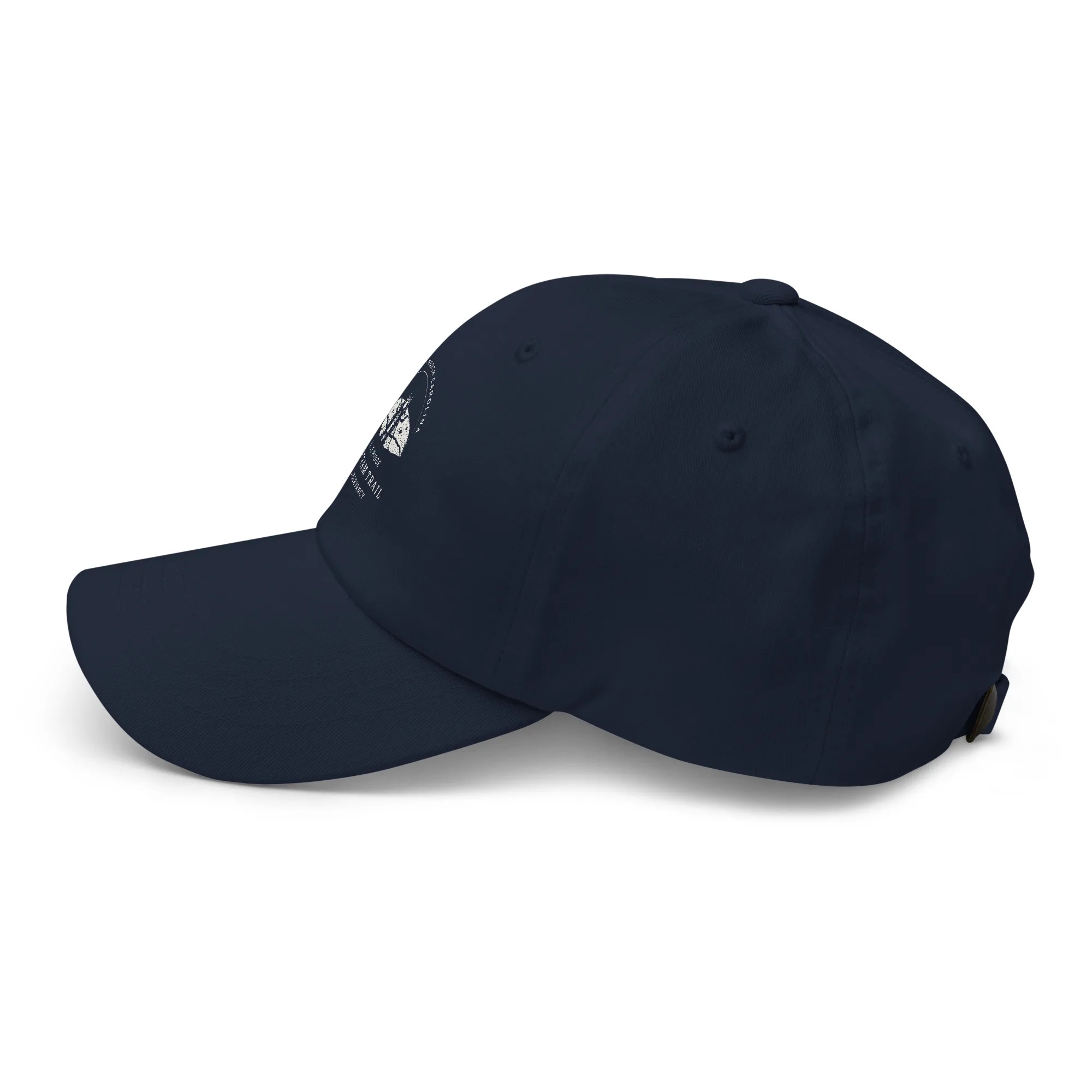 The Conservancy Dad hat - Image 14