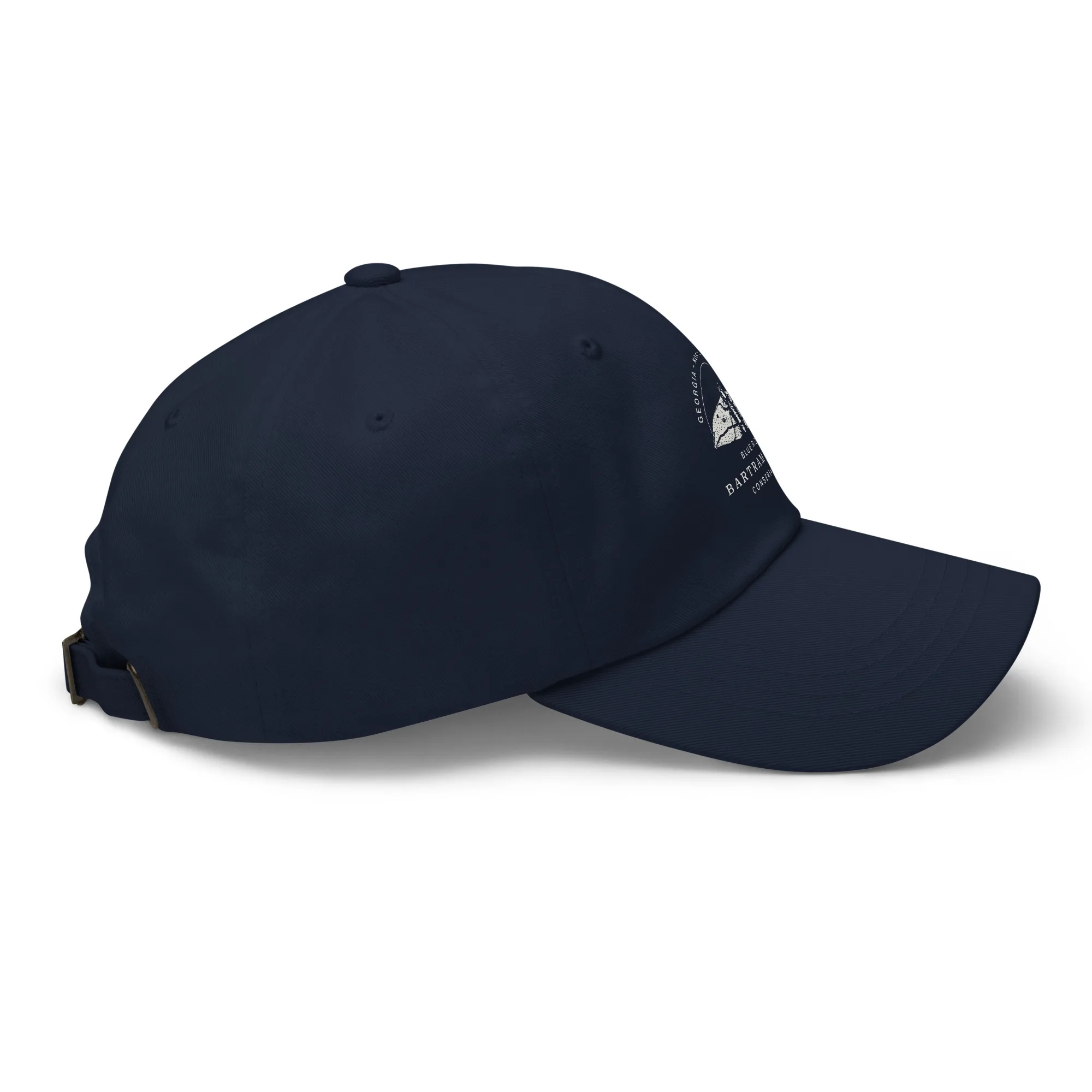 The Conservancy Dad hat - Image 10
