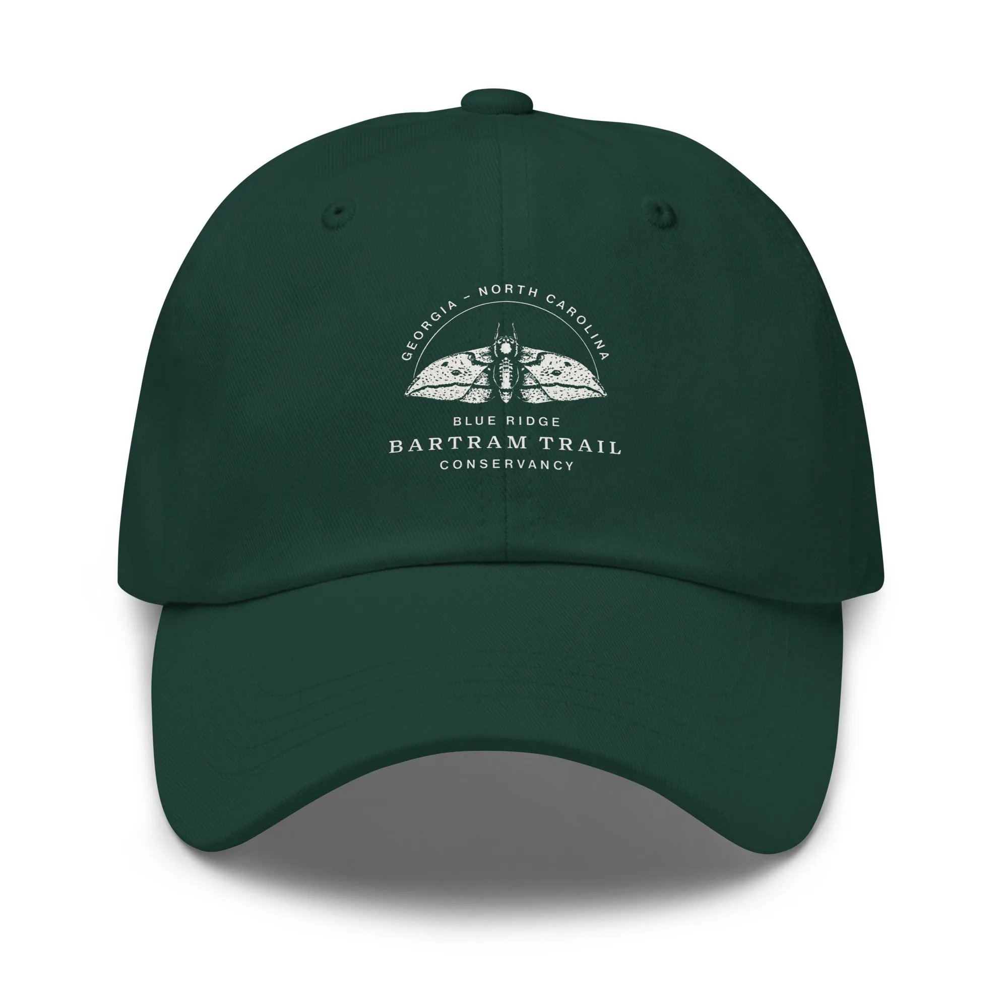 The Conservancy Dad hat - Image 4