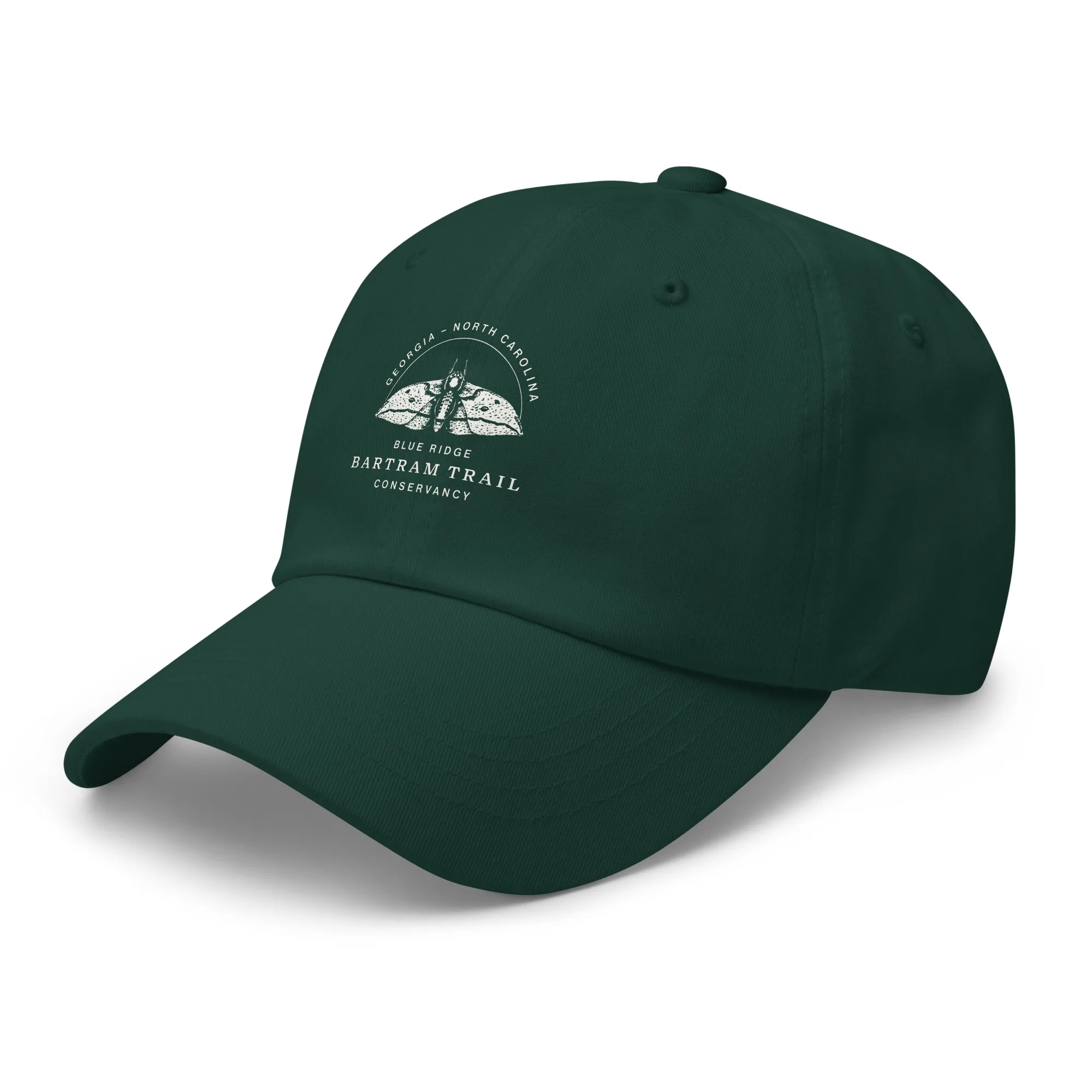 The Conservancy Dad hat - Image 24