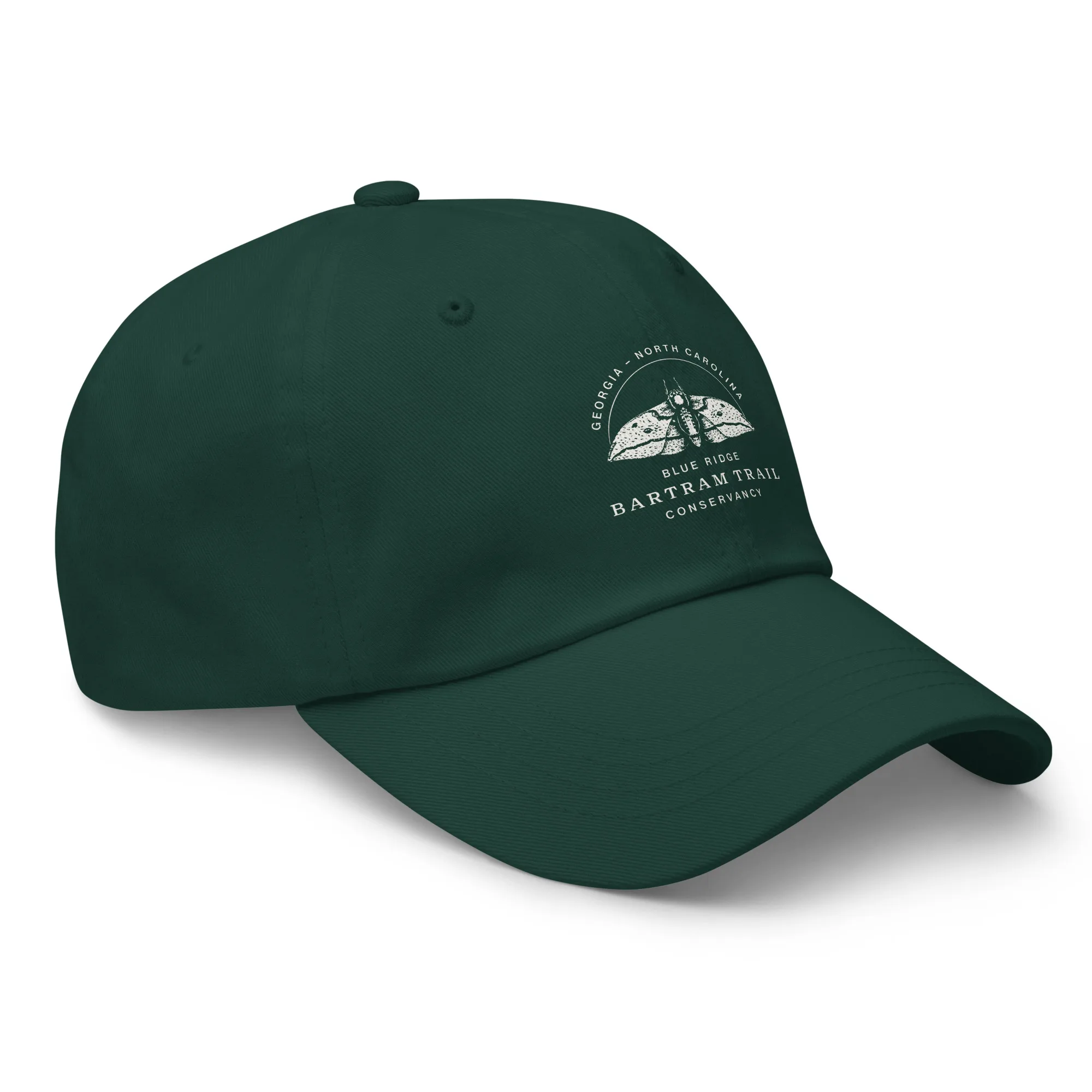 The Conservancy Dad hat - Image 20