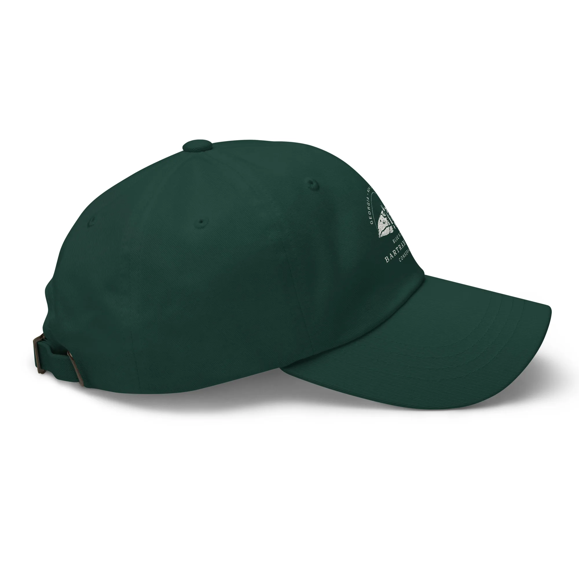 The Conservancy Dad hat - Image 12