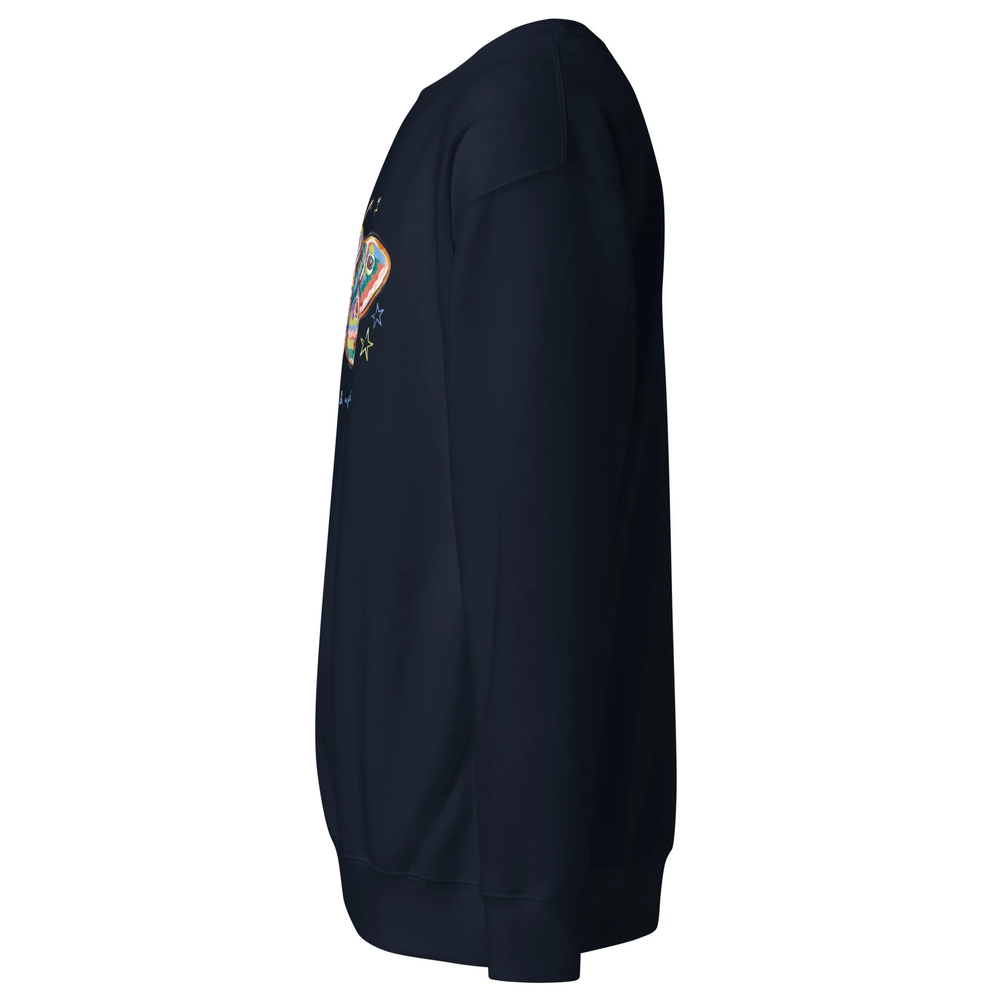 The Onward & Upward Premium Sweatshirt - Image 3
