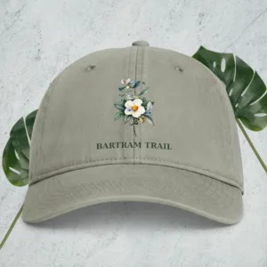 Coastal Washed Cap